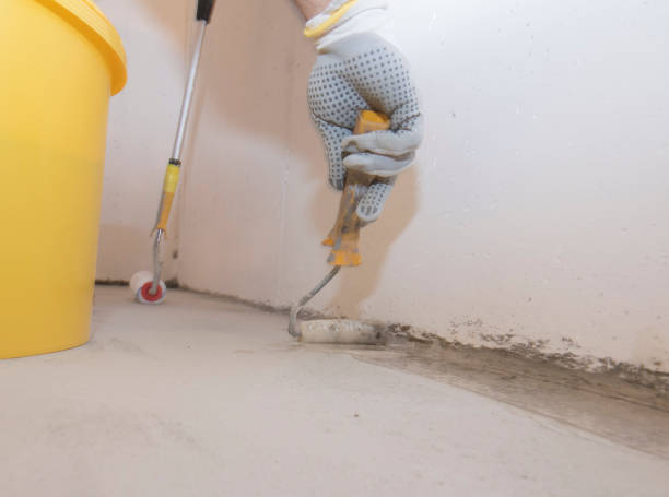 Best Pest Exclusion Services  in Newton, TX